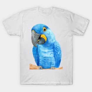 hyacinth macaw watercolor bird parrot painting T-Shirt
